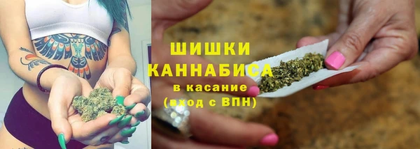 стаф Богородск