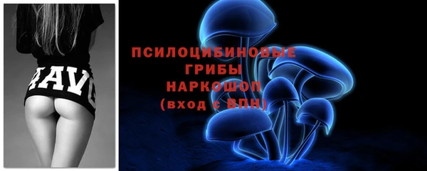 амф Беломорск