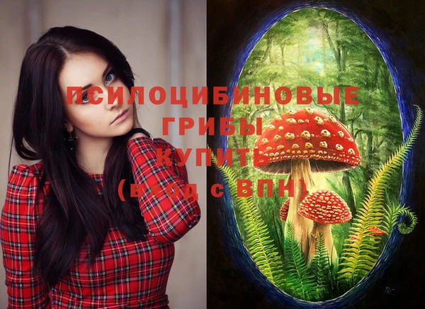 не бодяженный Богородицк