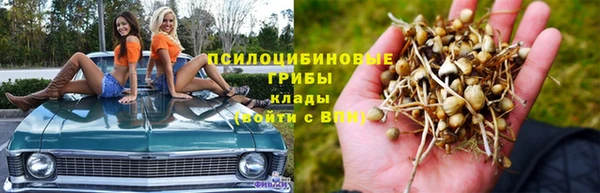 стаф Богородск