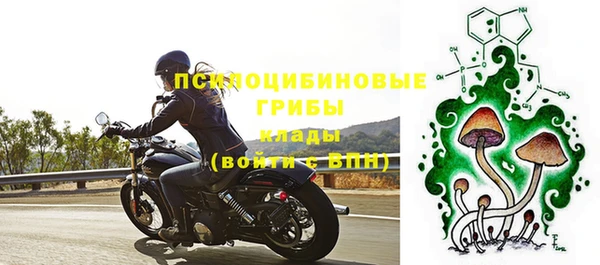 амф Беломорск