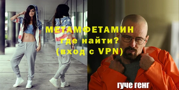 ПСИЛОЦИБИНОВЫЕ ГРИБЫ Богданович