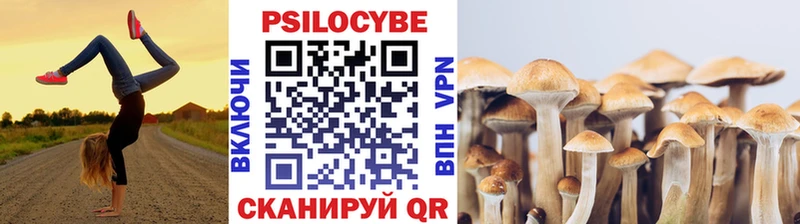 продажа наркотиков  блэк спрут зеркало  это состав  Козельск  Галлюциногенные грибы Psilocybe 